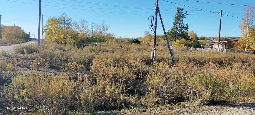 img-3