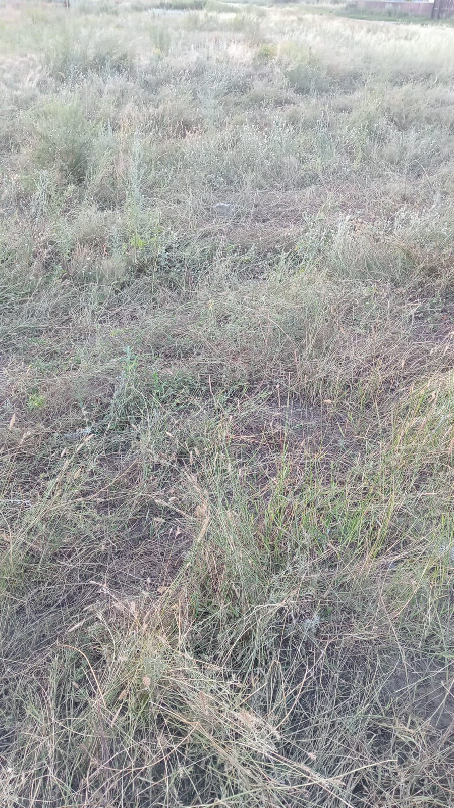 img-2