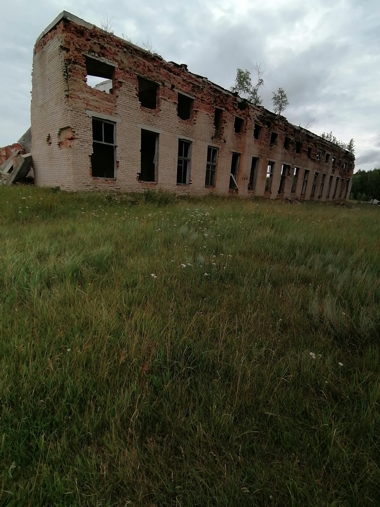 img-1