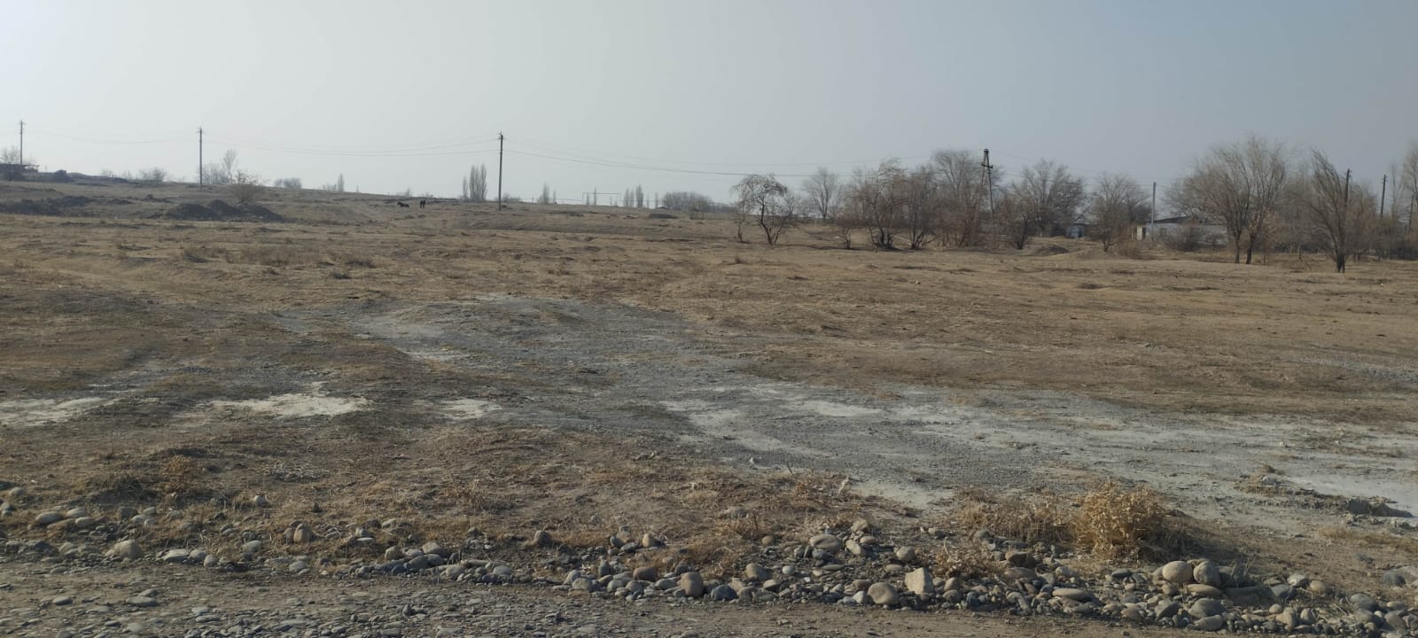 img-0