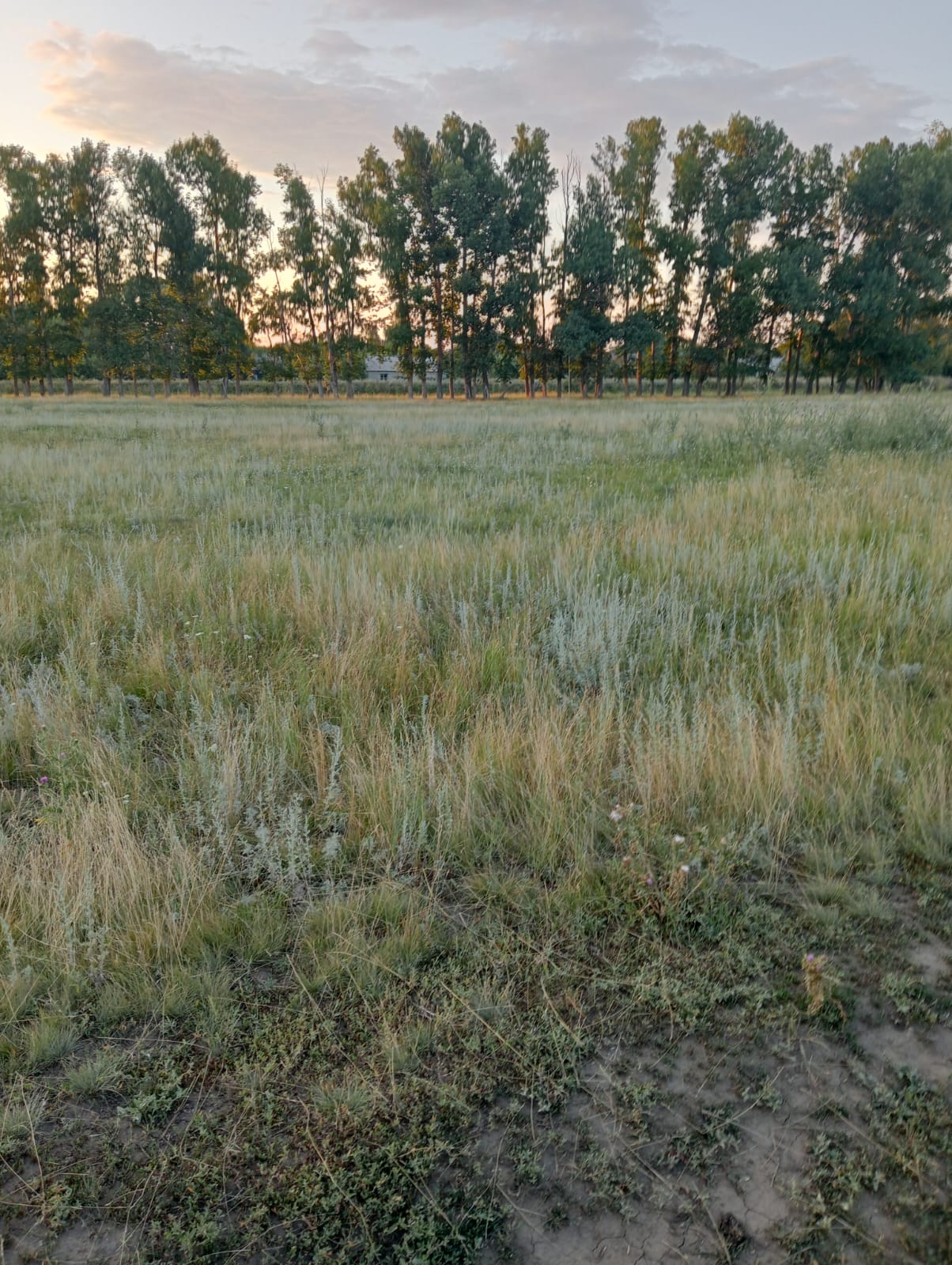 img-1