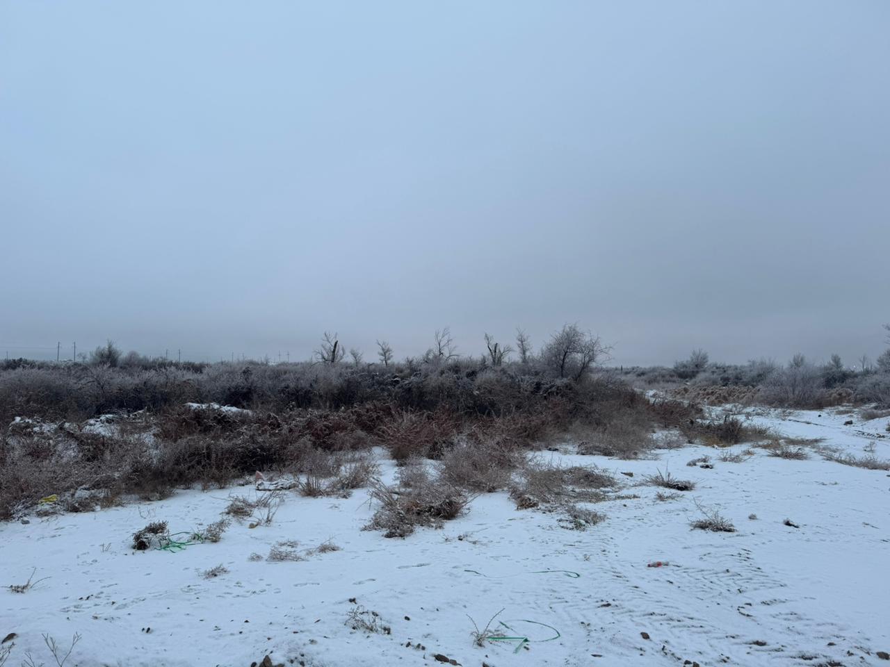 img-0