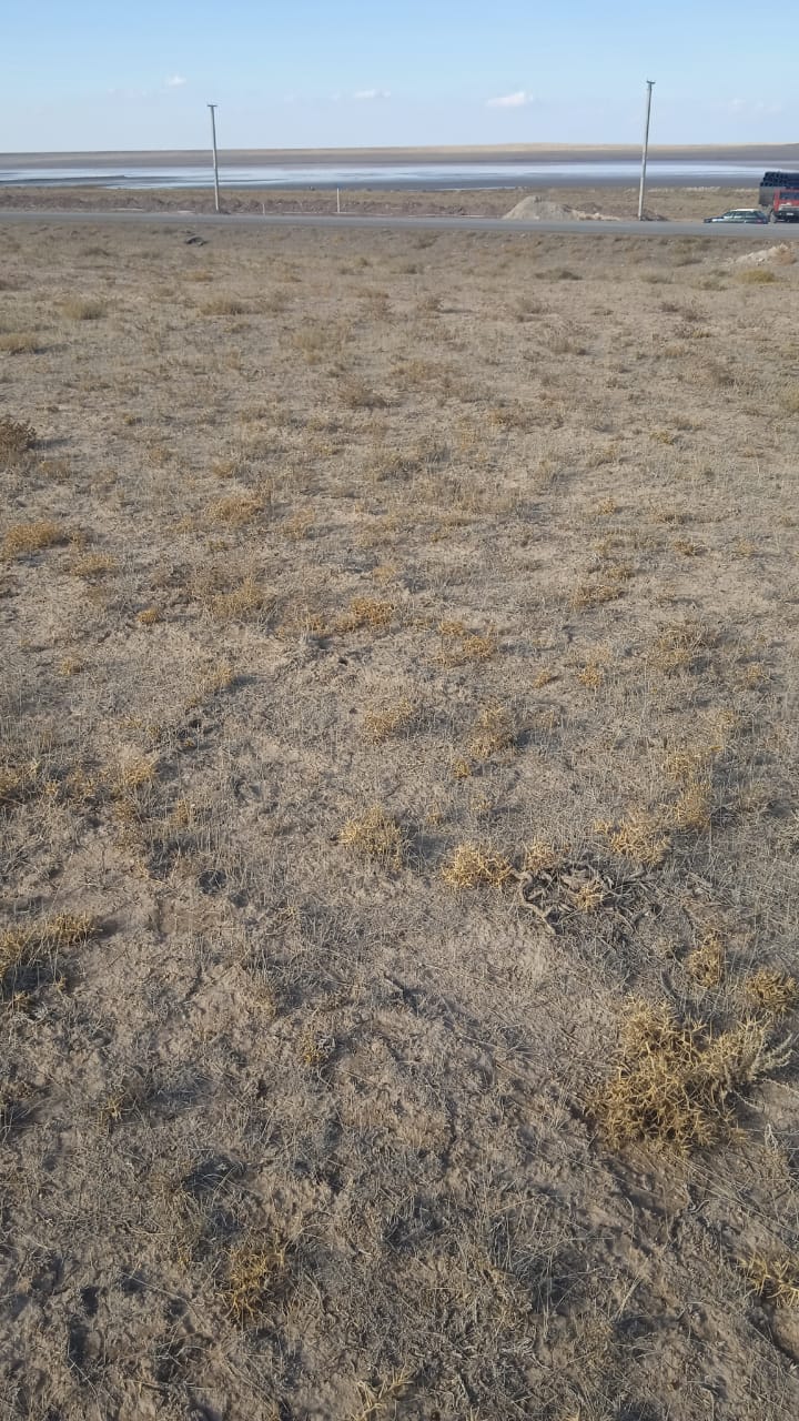 img-2