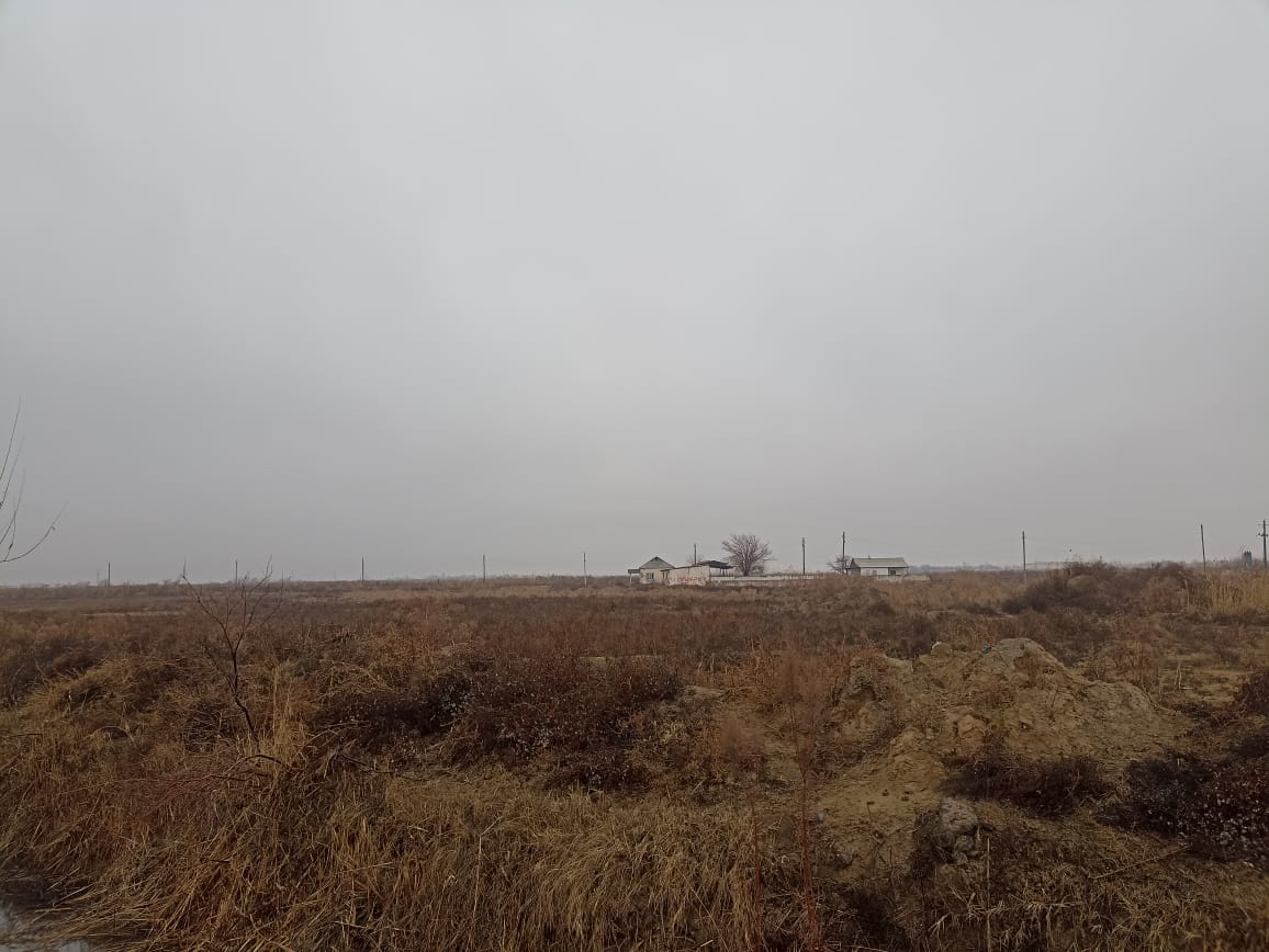 img-1