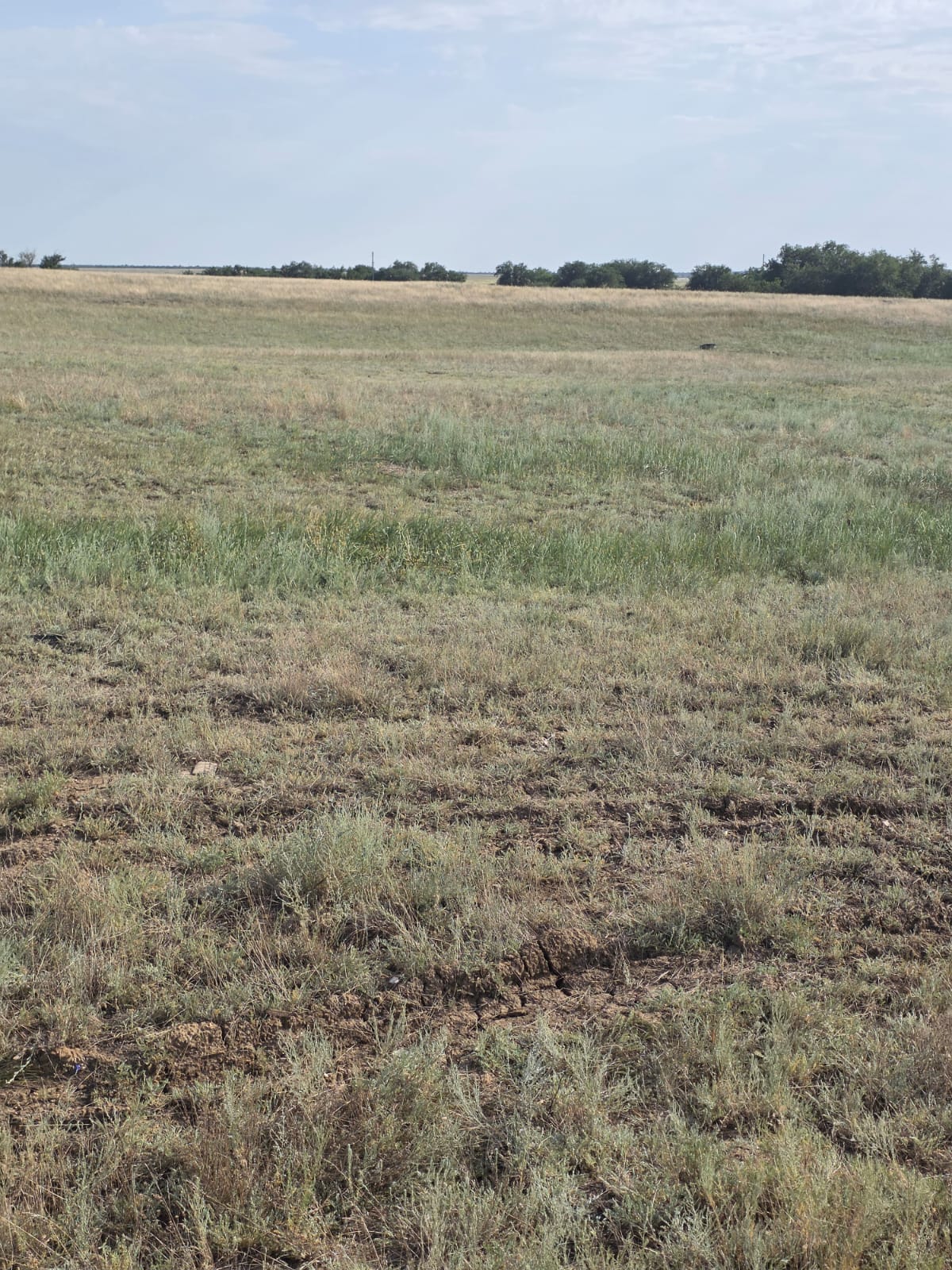 img-0