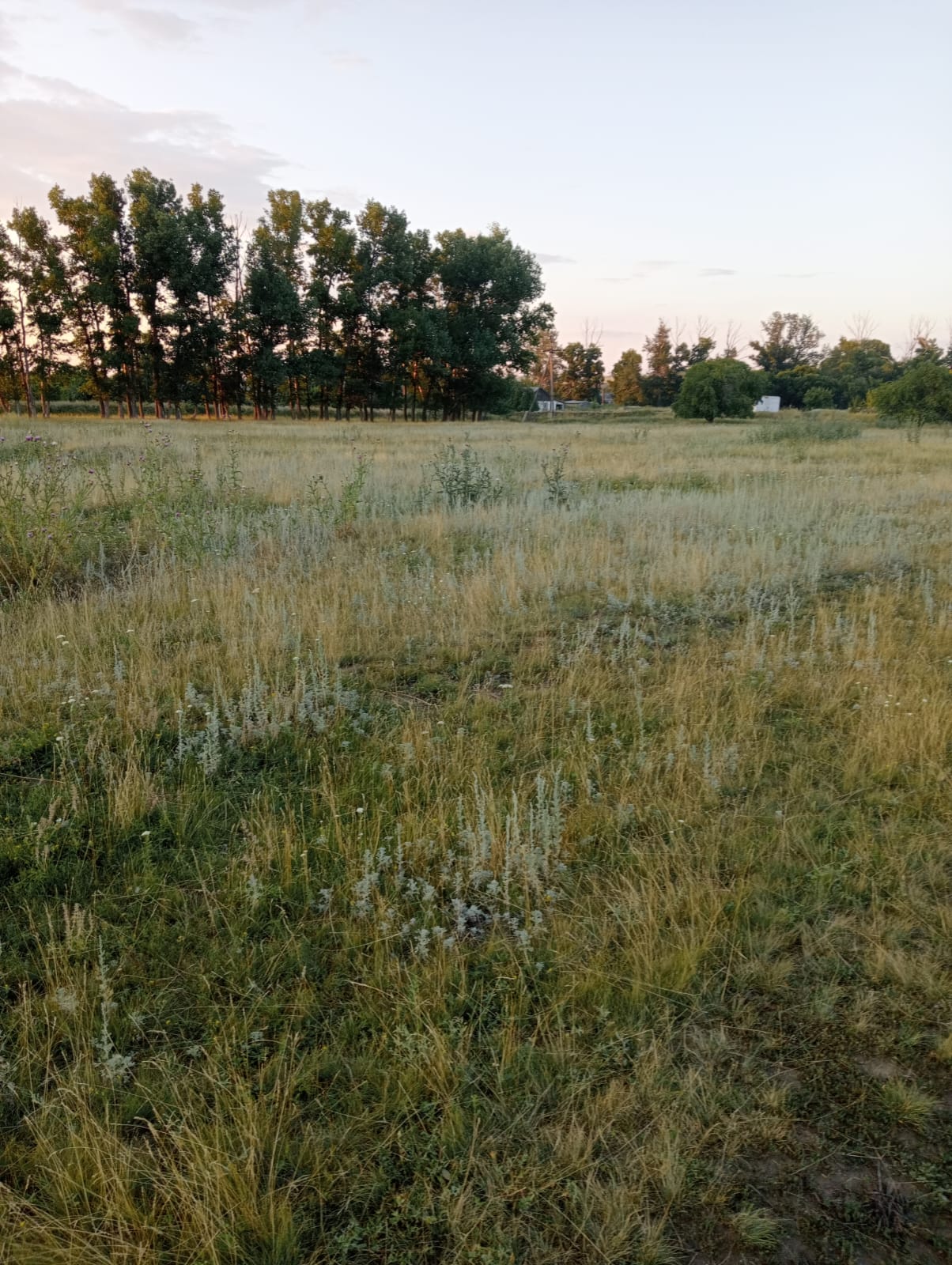 img-2