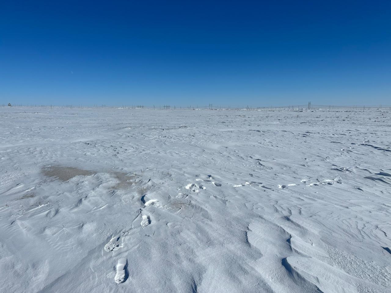 img-3