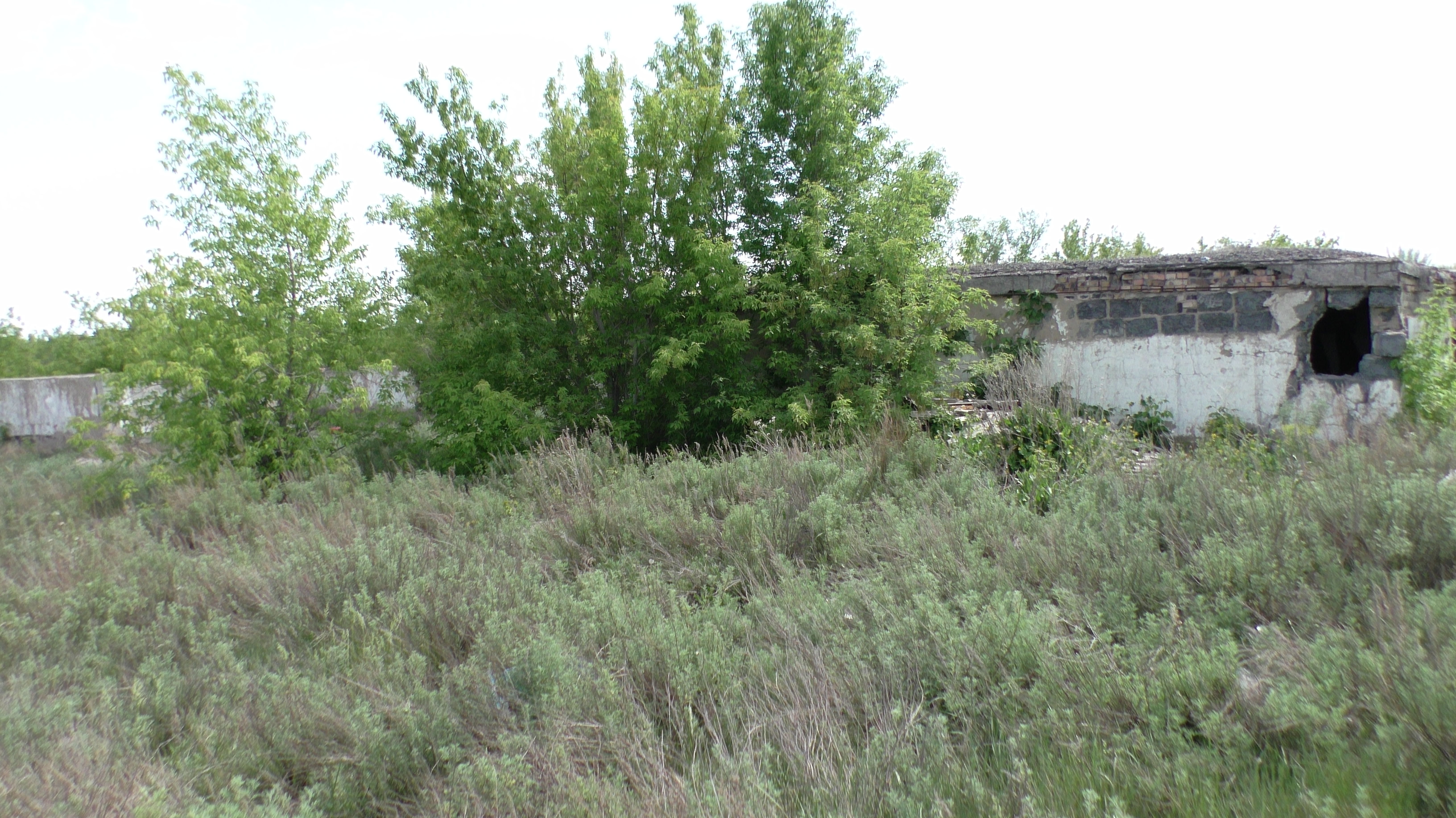 img-4