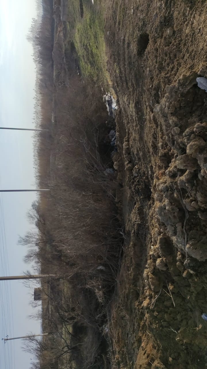 img-2