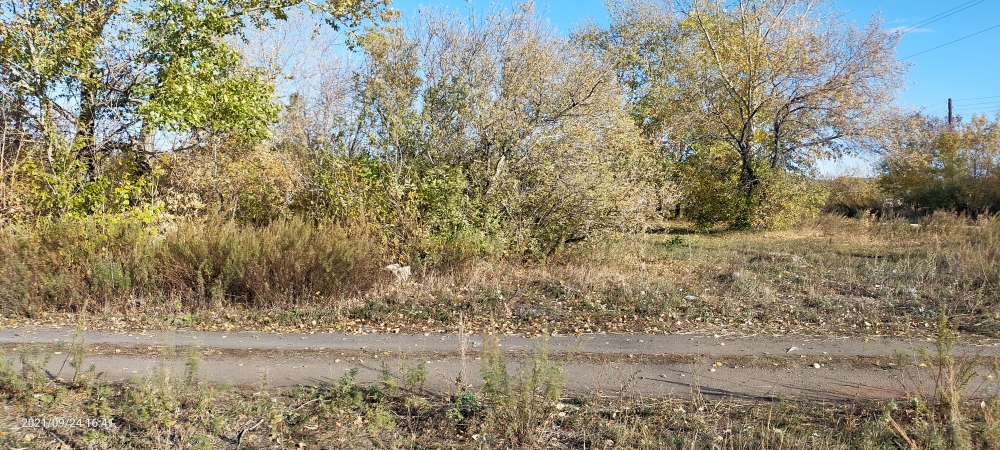 img-1