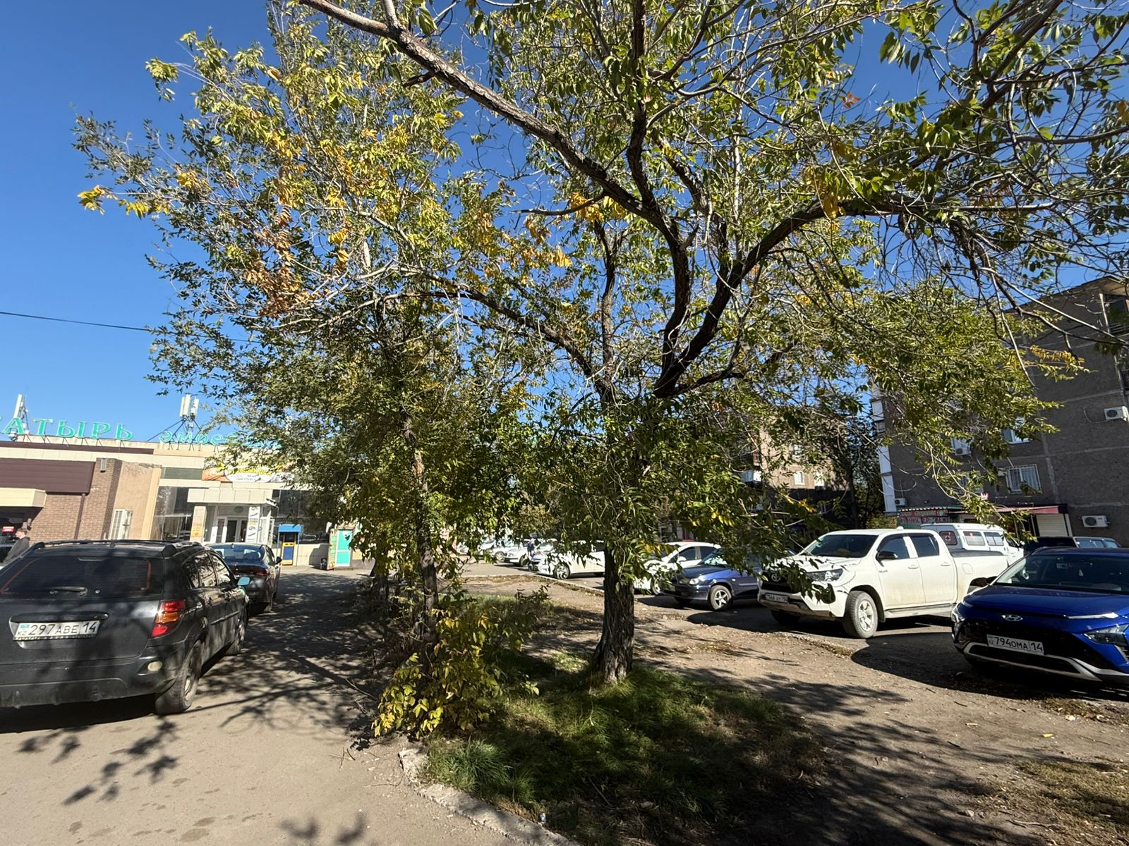 img-1