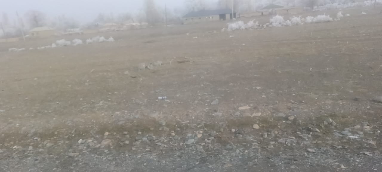 img-0