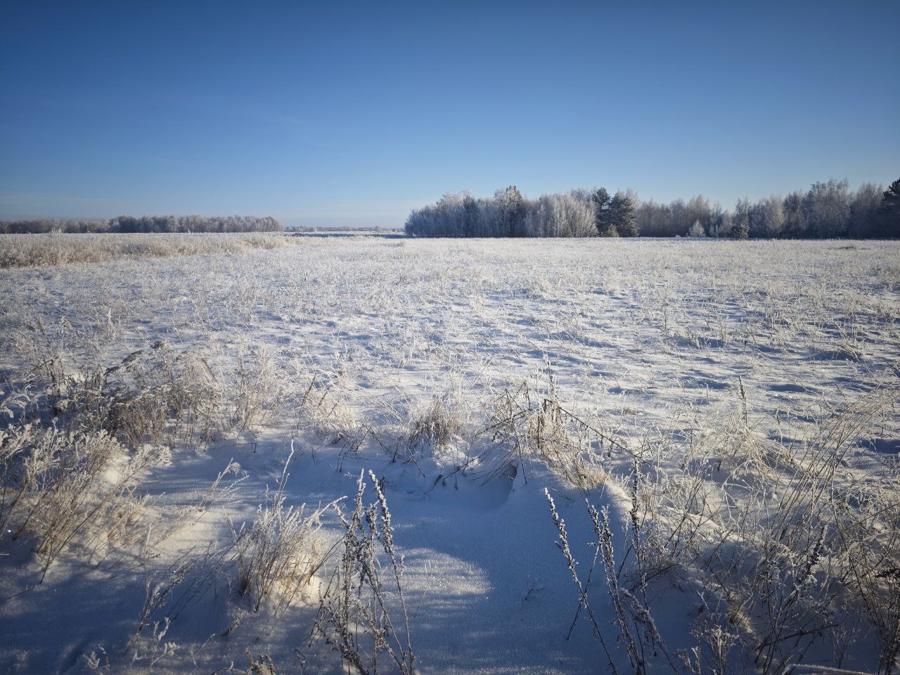 img-3