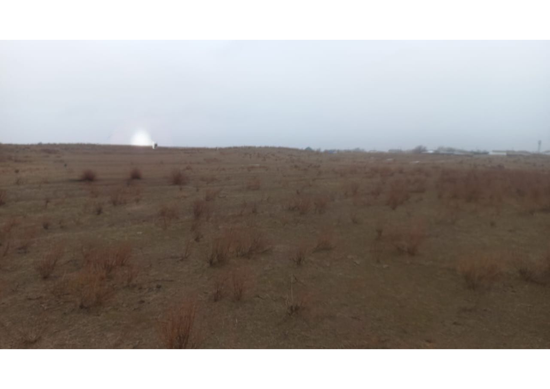 img-1