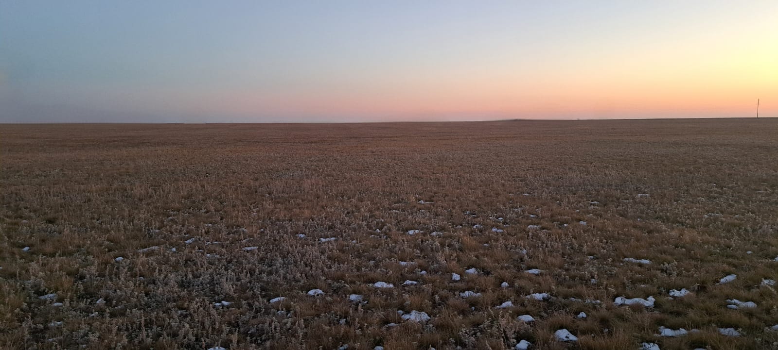 img-4
