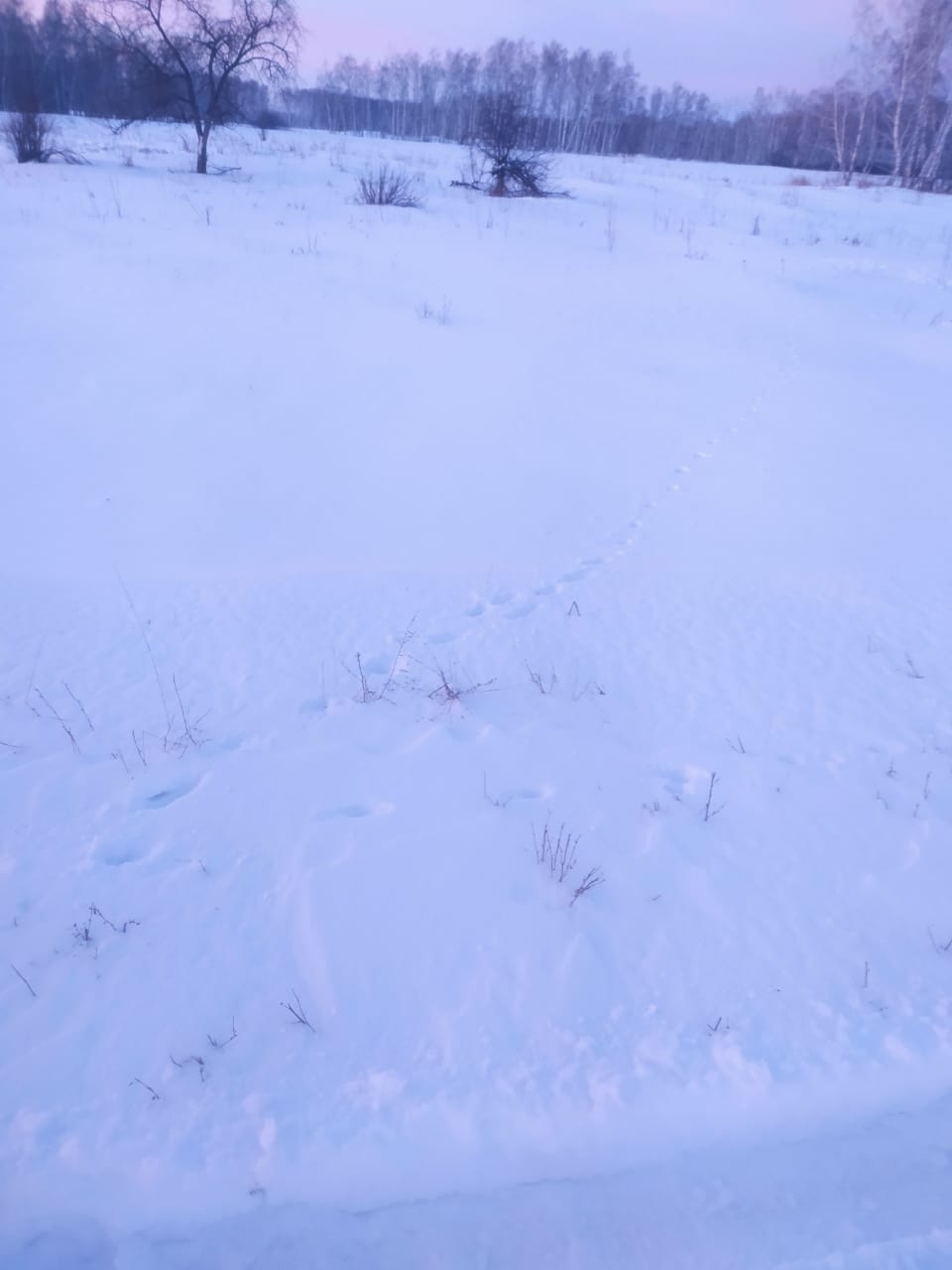 img-2