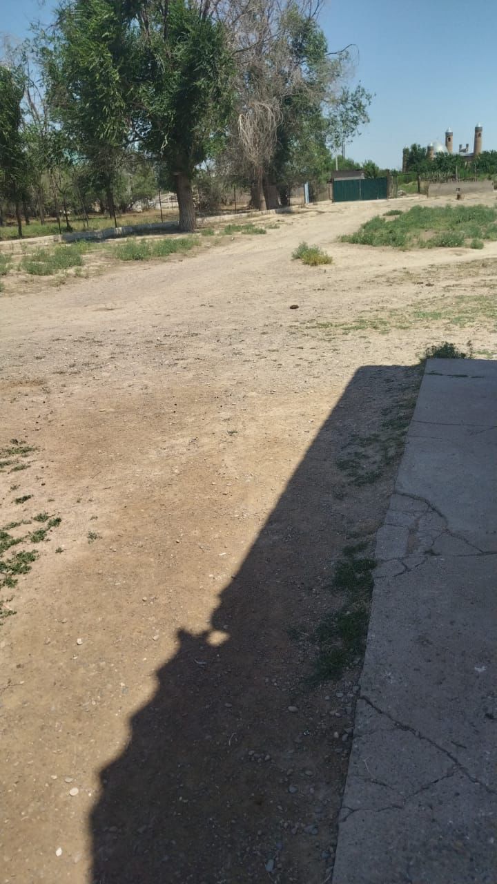 img-0