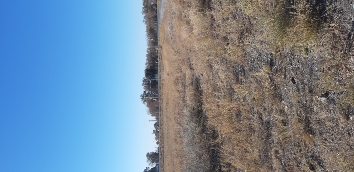 img-0