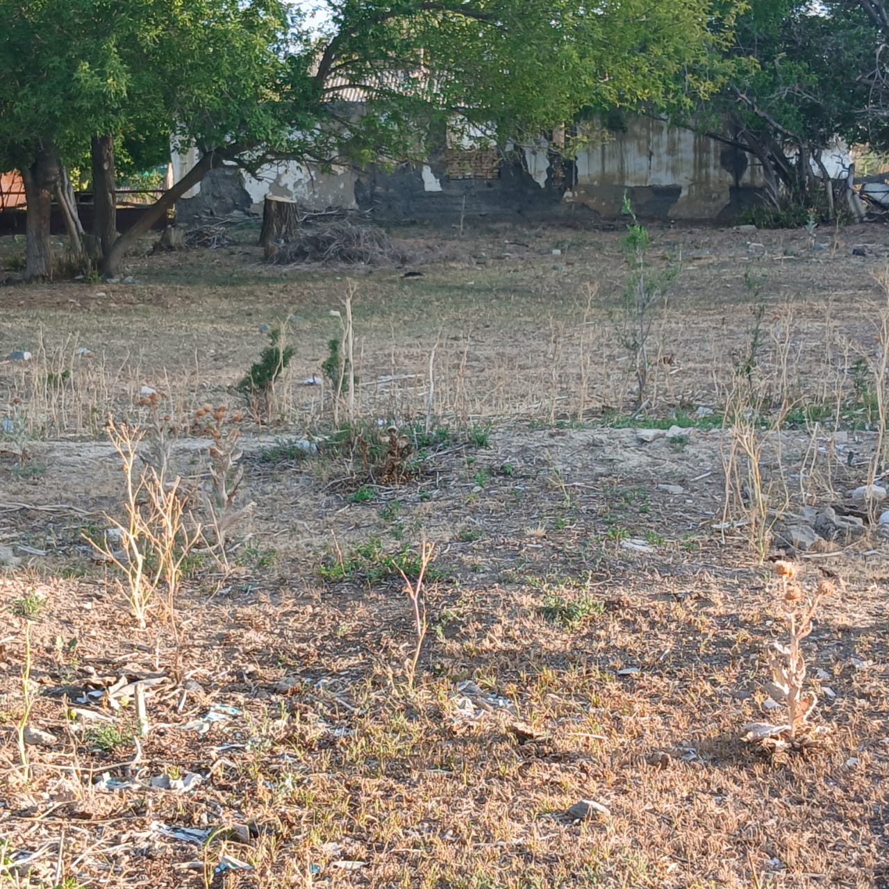 img-1
