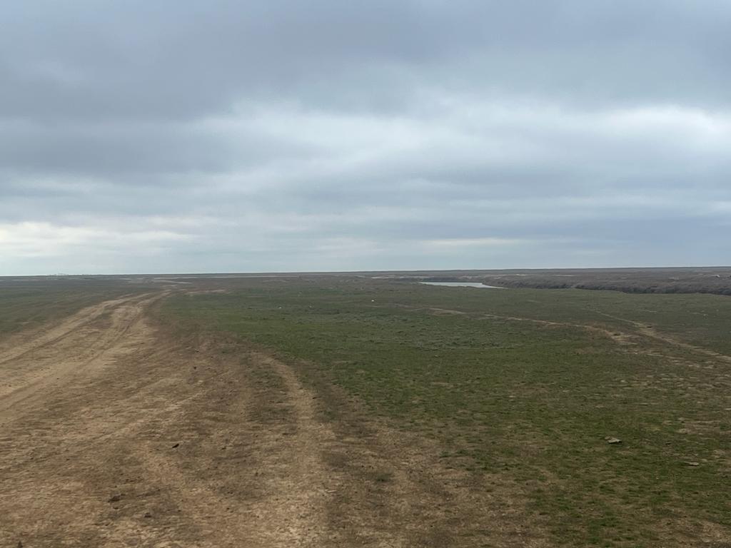 img-2