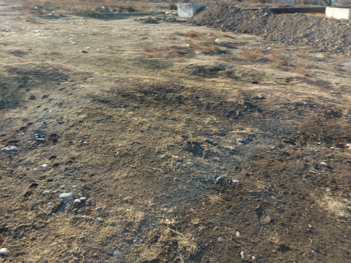 img-1