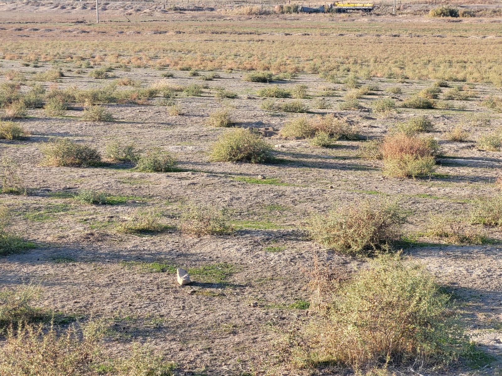 img-2