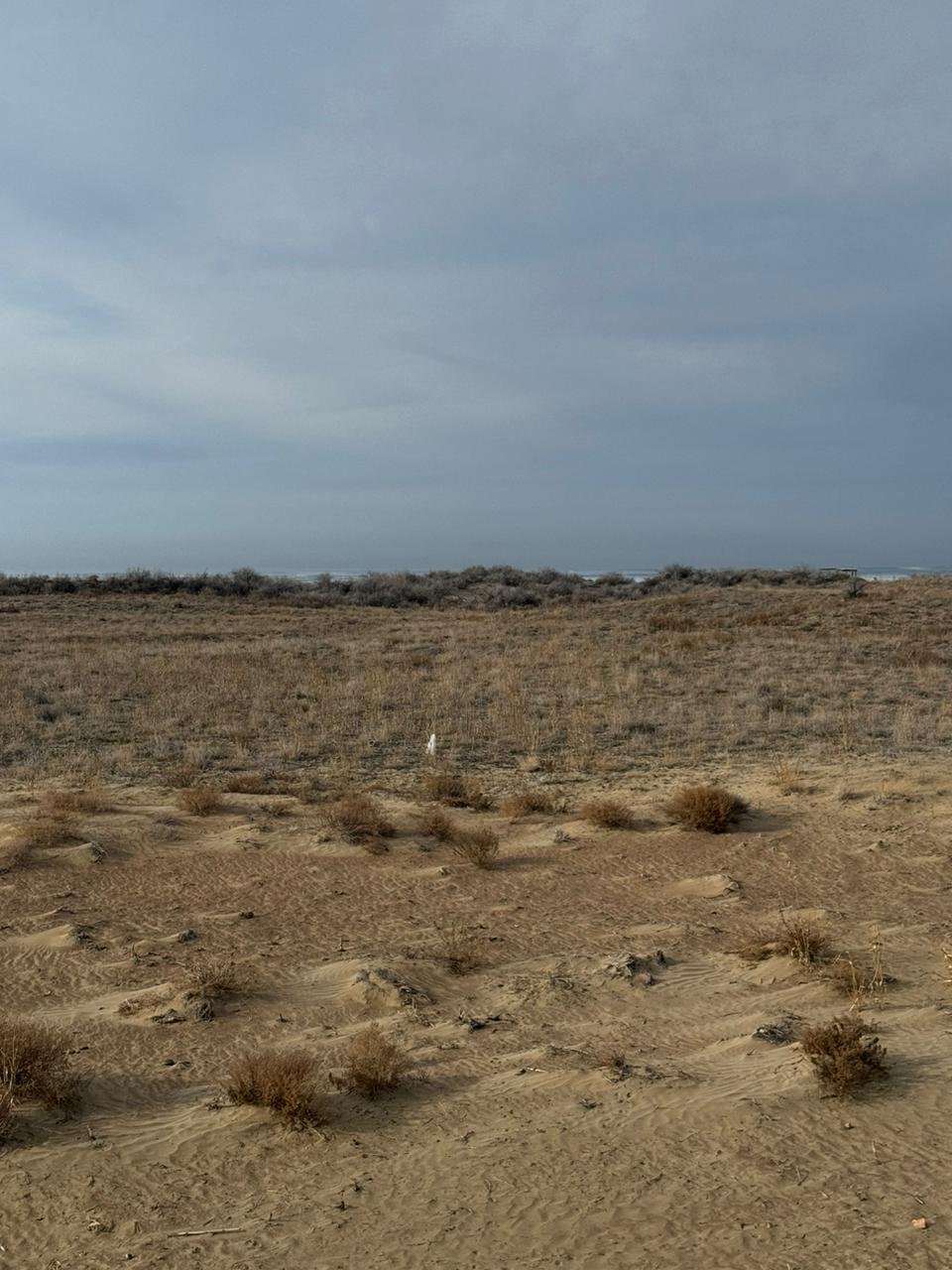 img-1