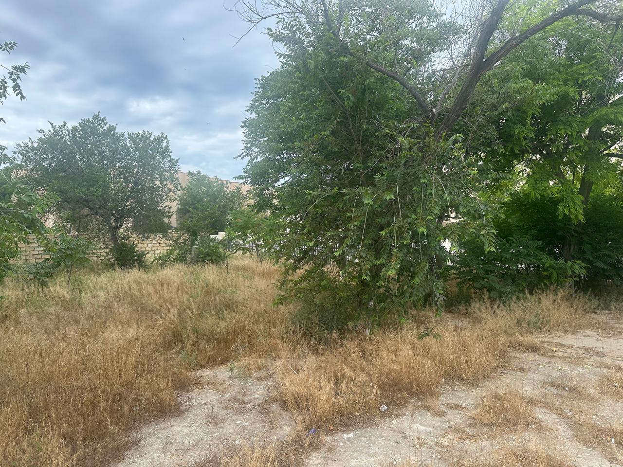img-2