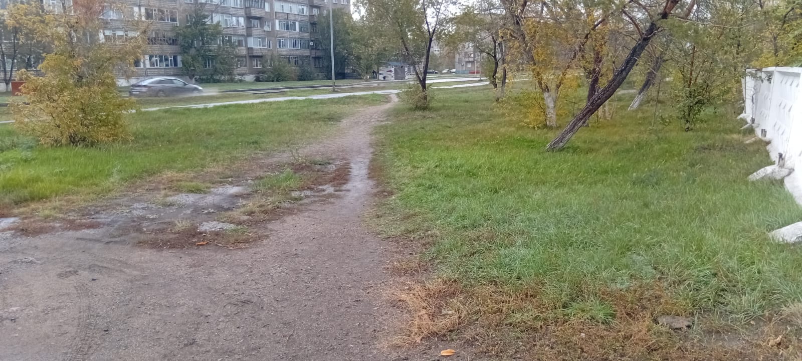 img-0