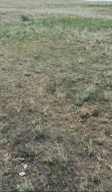 img-2