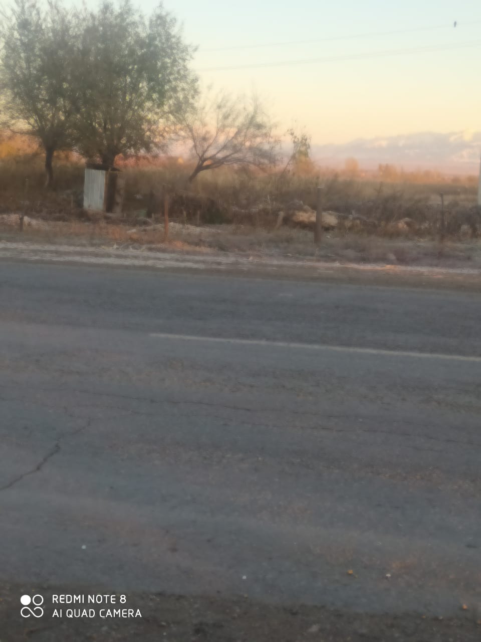 img-2