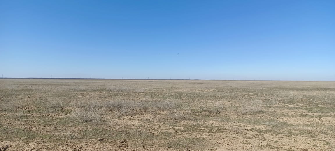 img-0