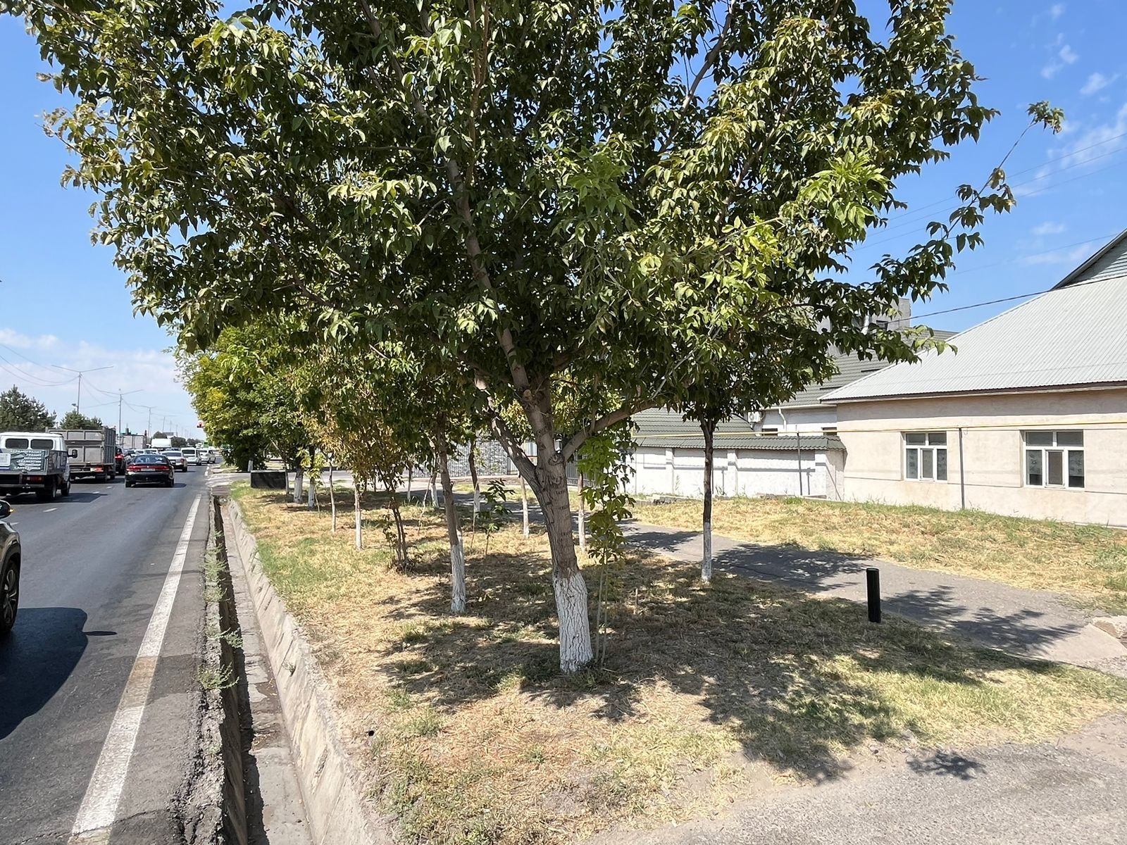 img-0