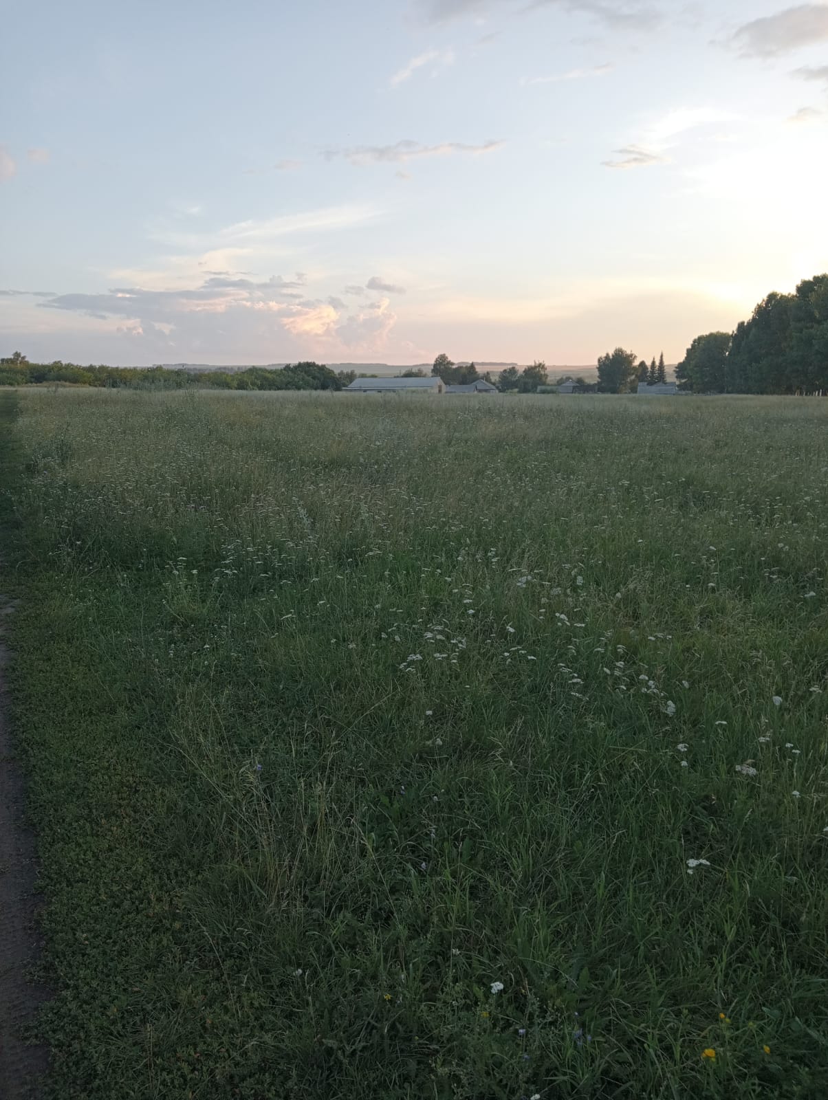 img-0