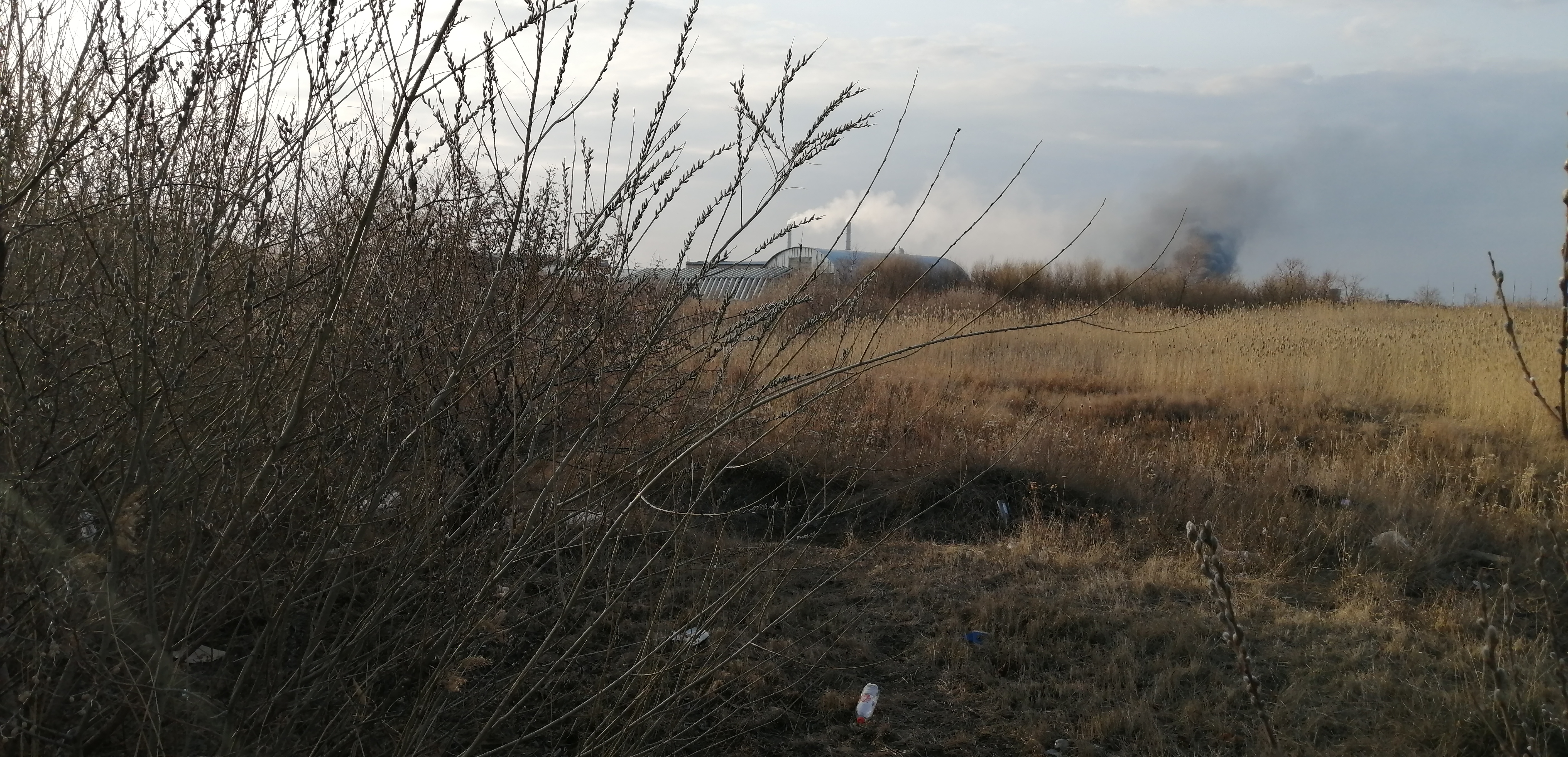 img-1