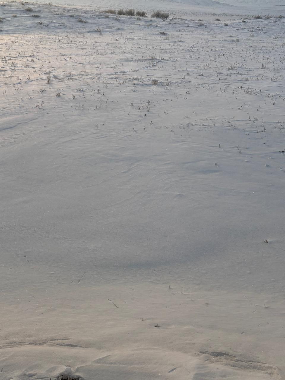 img-2