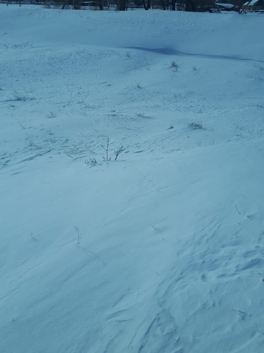 img-4