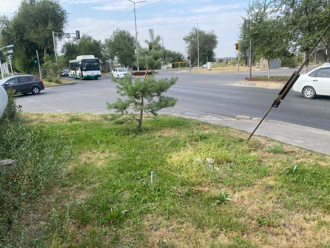 img-3