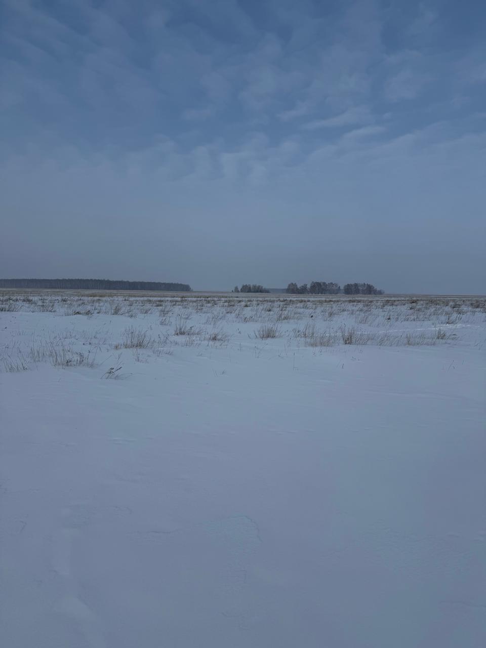 img-4