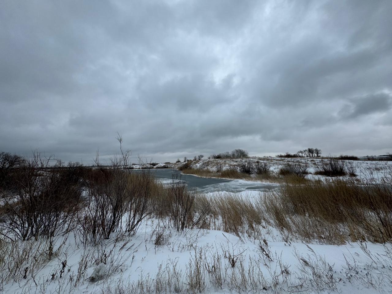 img-7