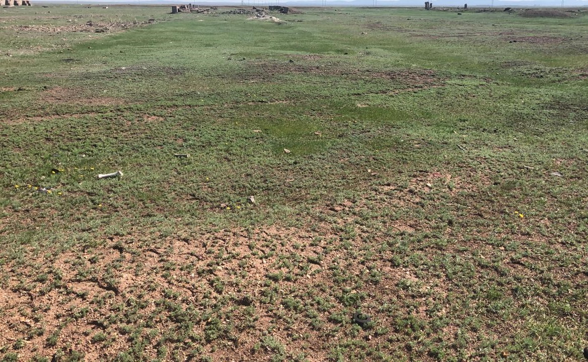 img-0
