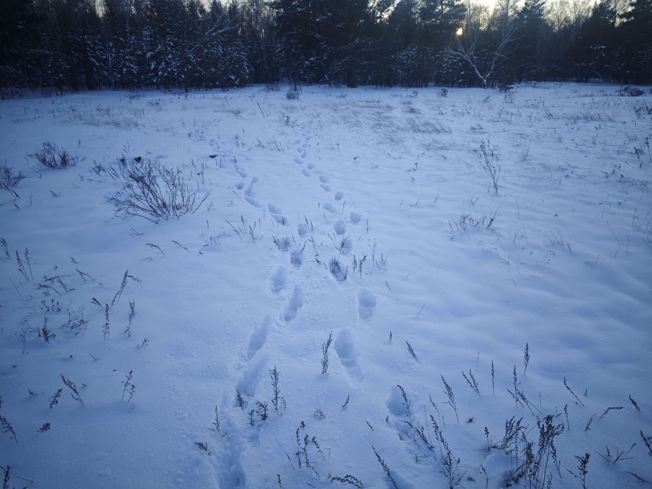 img-1