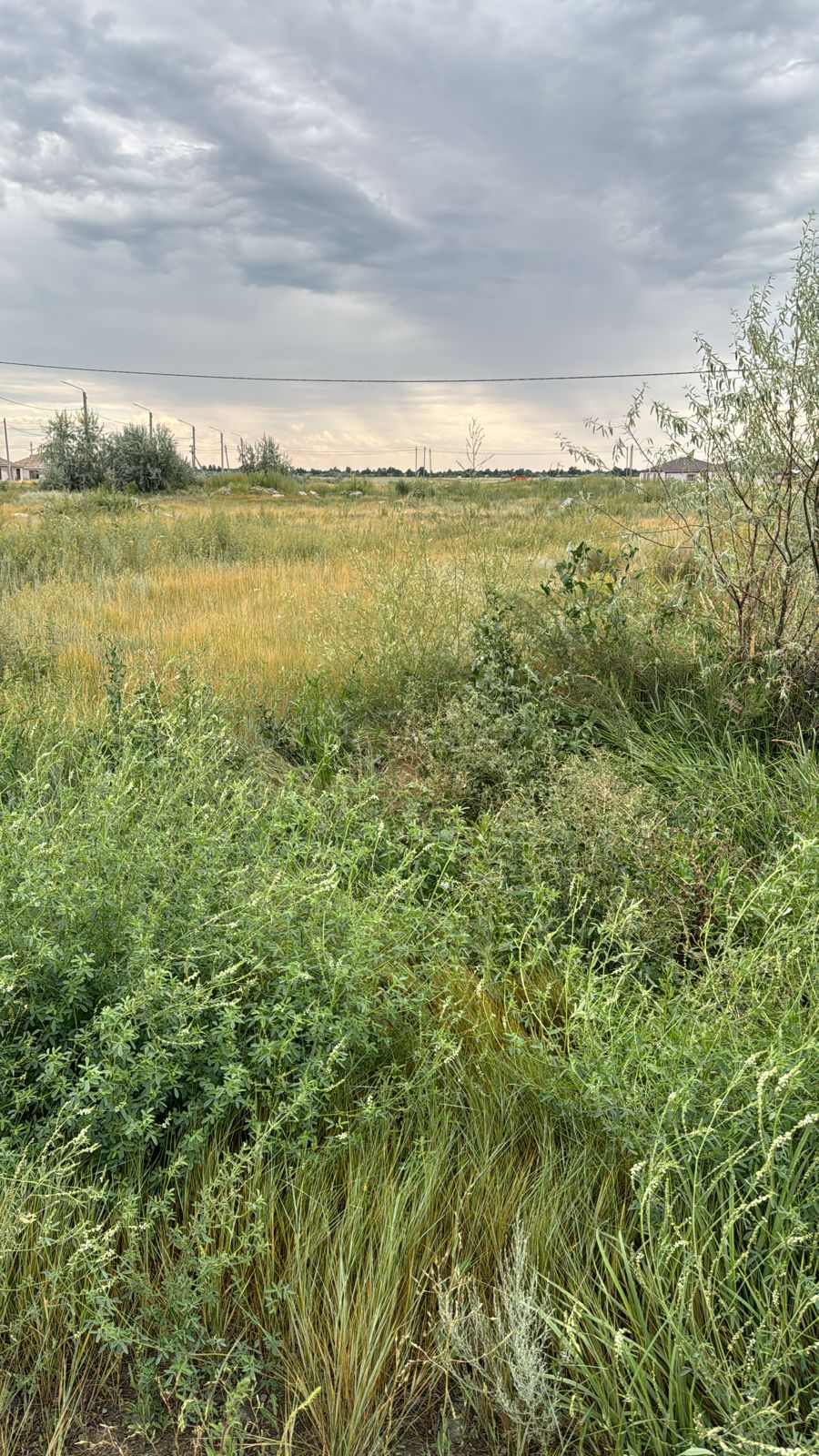 img-3