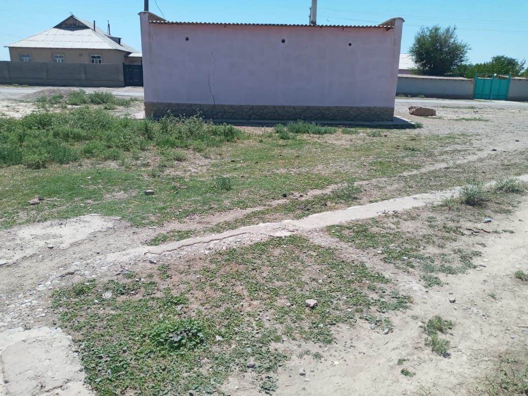 img-2