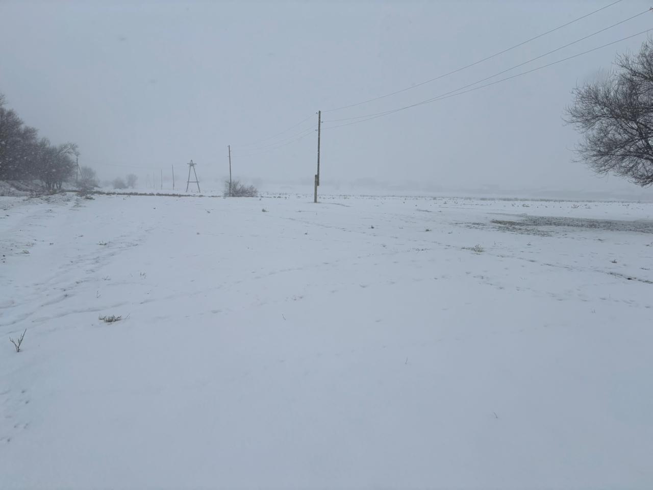 img-1