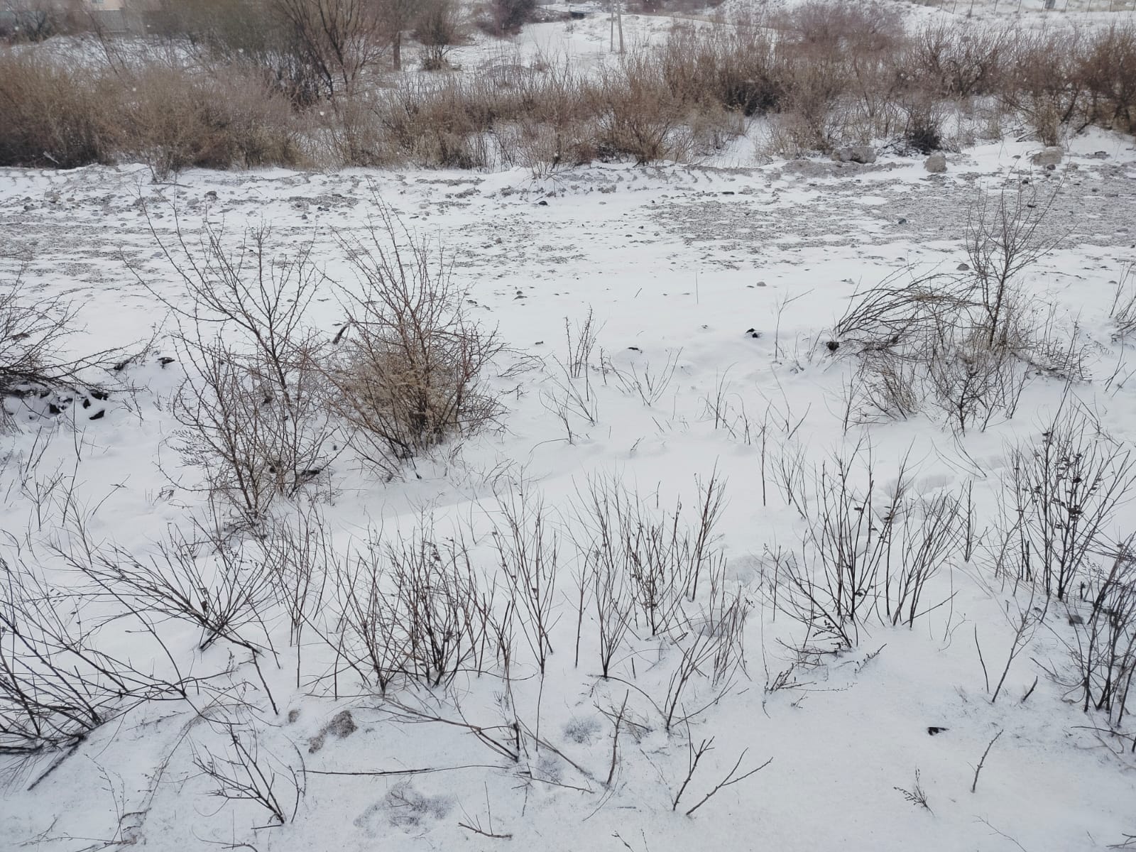 img-2