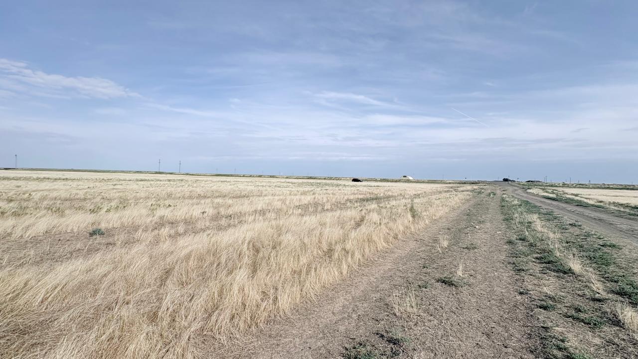 img-3