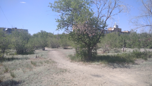 img-3