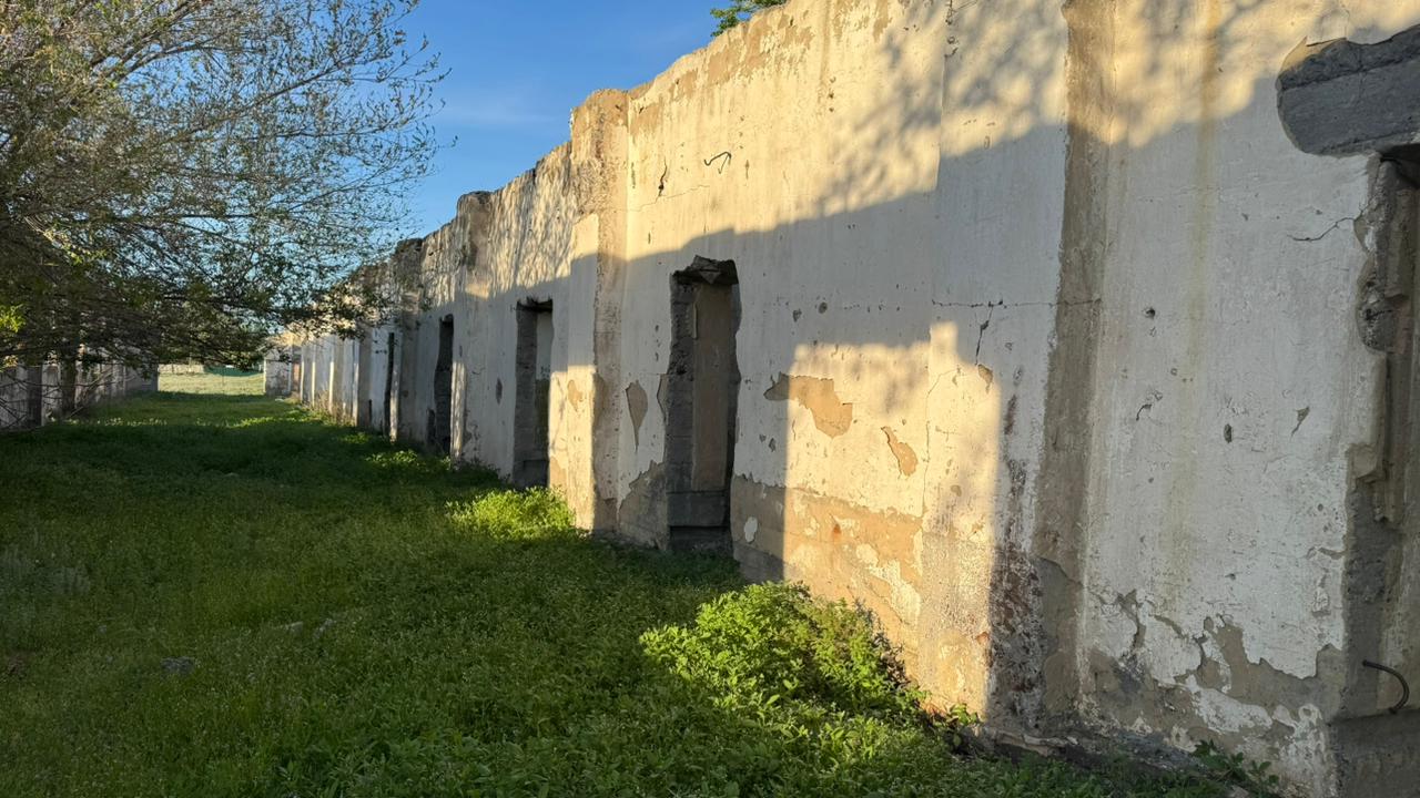 img-4