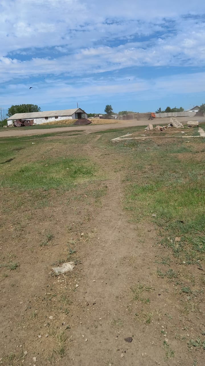 img-2
